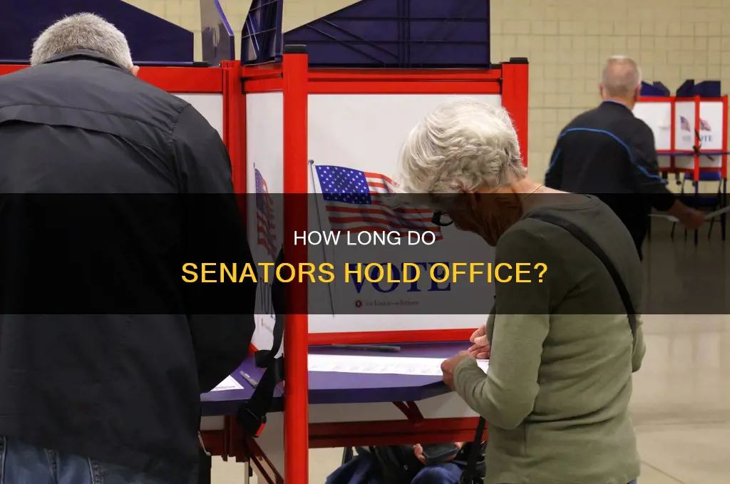 what is the term of office for senate