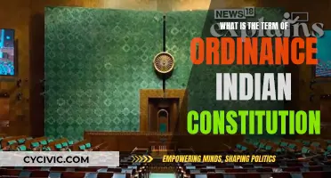 Understanding the Ordinance-Making Power in the Indian Constitution