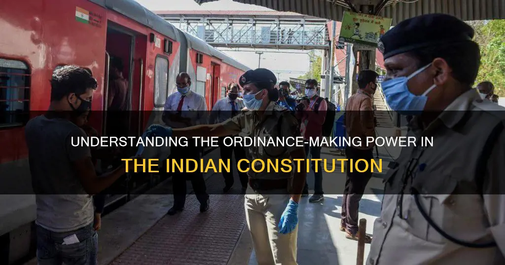 what is the term of ordinance indian constitution