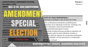 Texas Constitutional Amendments: Special Election Explained