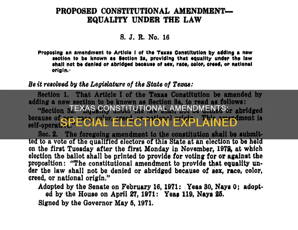 what is the texas constitutional amendment special election
