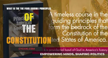 Guiding Principles: The Constitution's Foundation