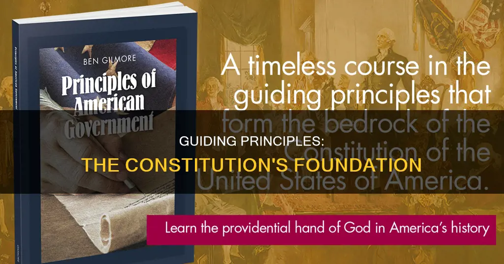 what is the the four guiding principles of the constitution