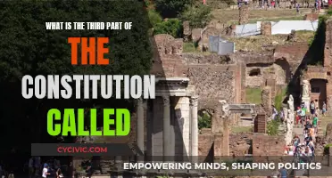 The Third Part of the Constitution: The Schedule