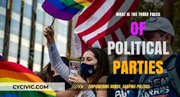 The Three Faces of Political Parties: Unveiling Their Complex Identities
