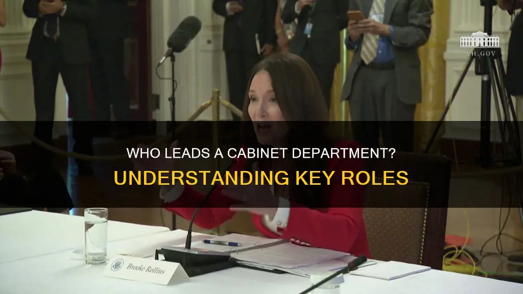 what is the title of a cabinet department head