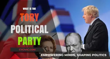 Understanding the Tory Political Party: History, Policies, and Influence