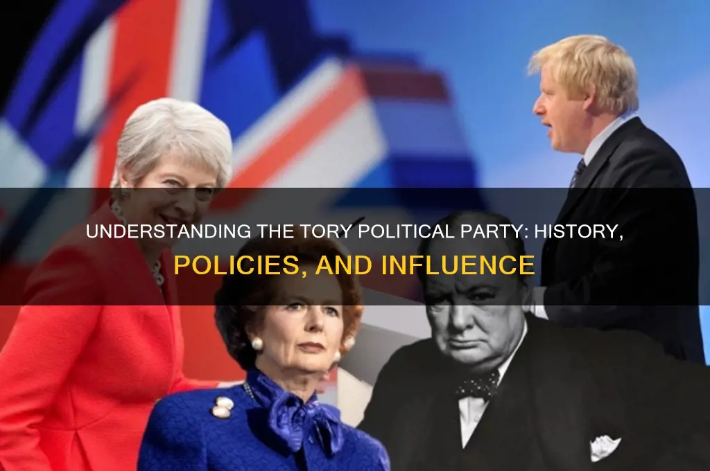 what is the tory political party