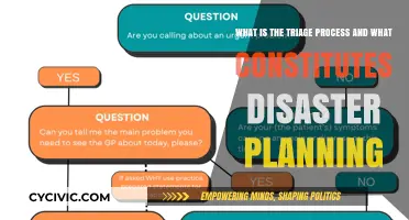 Triage Techniques and Strategies for Disaster Preparedness