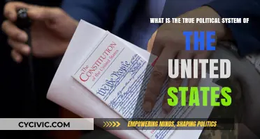 Unveiling the True Political System of the United States: A Deep Dive