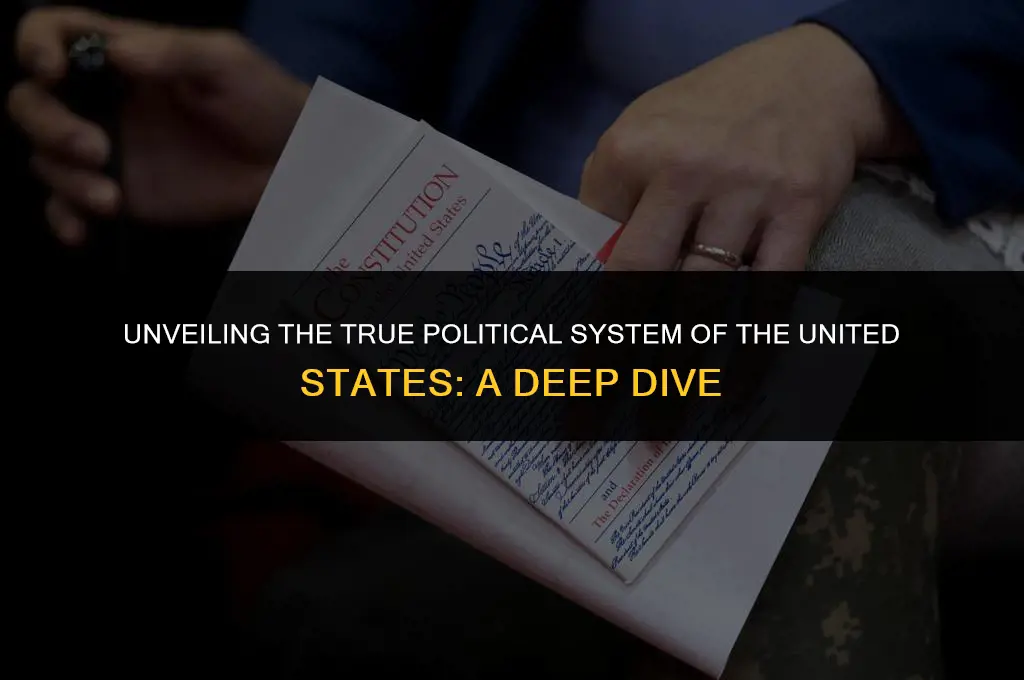 what is the true political system of the united states