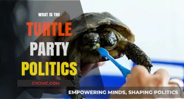 Understanding the Slow and Steady Approach of Turtle Party Politics