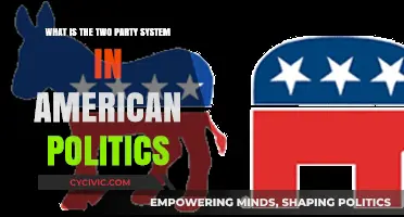 Understanding America's Two-Party System: Democrats, Republicans, and Political Dynamics