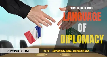 Diplomacy's Universal Language: The Key to Global Understanding