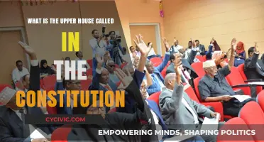 The Upper House: Constitutional Recognition