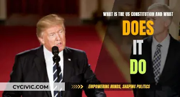 Understanding the US Constitution: Its Role and Relevance