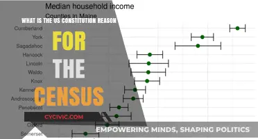The Census: Why the US Constitution Counts