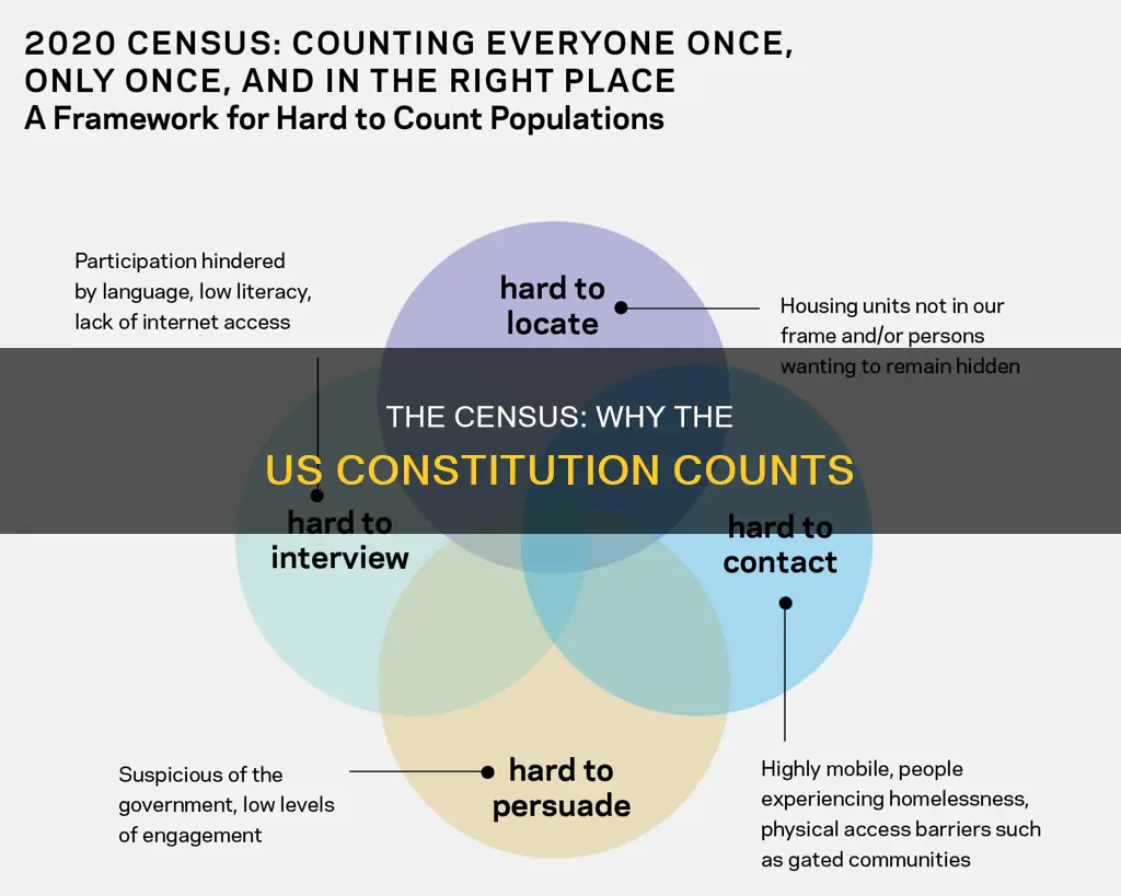 what is the us constitution reason for the census