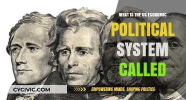 Exploring the United States' Unique Economic-Political System