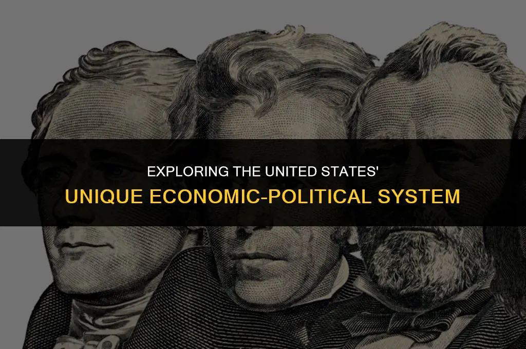 what is the us economic political system called