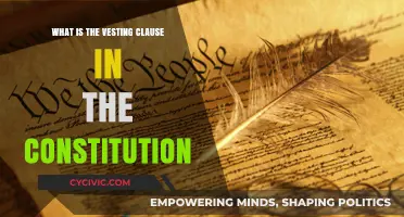 The Constitution's Vesting Clause: Power Distribution and Checks