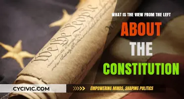 Left's Take: Constitution and Its Future