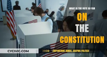 The Constitution: How Did We Vote?