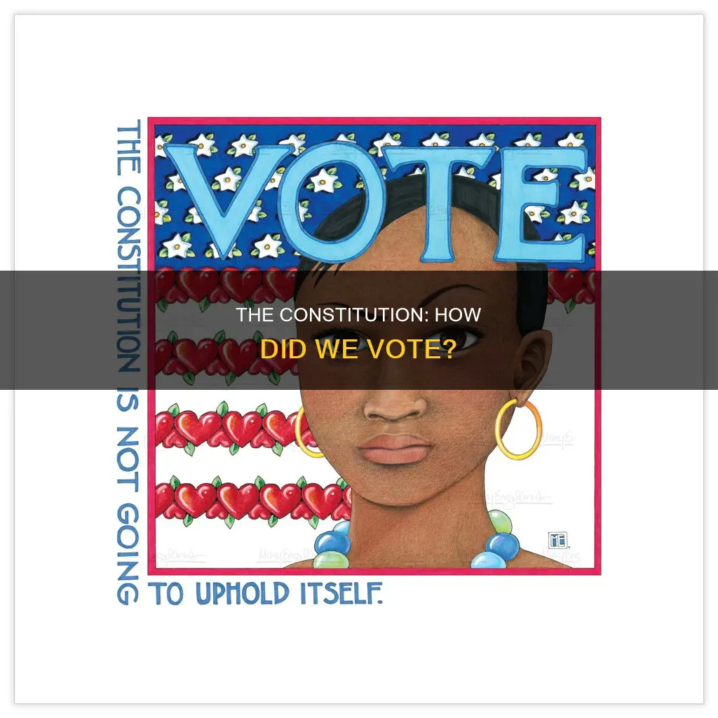 what is the vote so far on the constitution