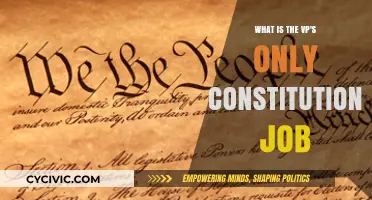 The VP's Sole Duty: Presidential Succession