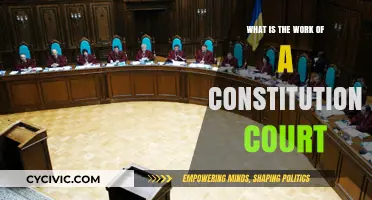 Understanding the Role of Constitutional Courts