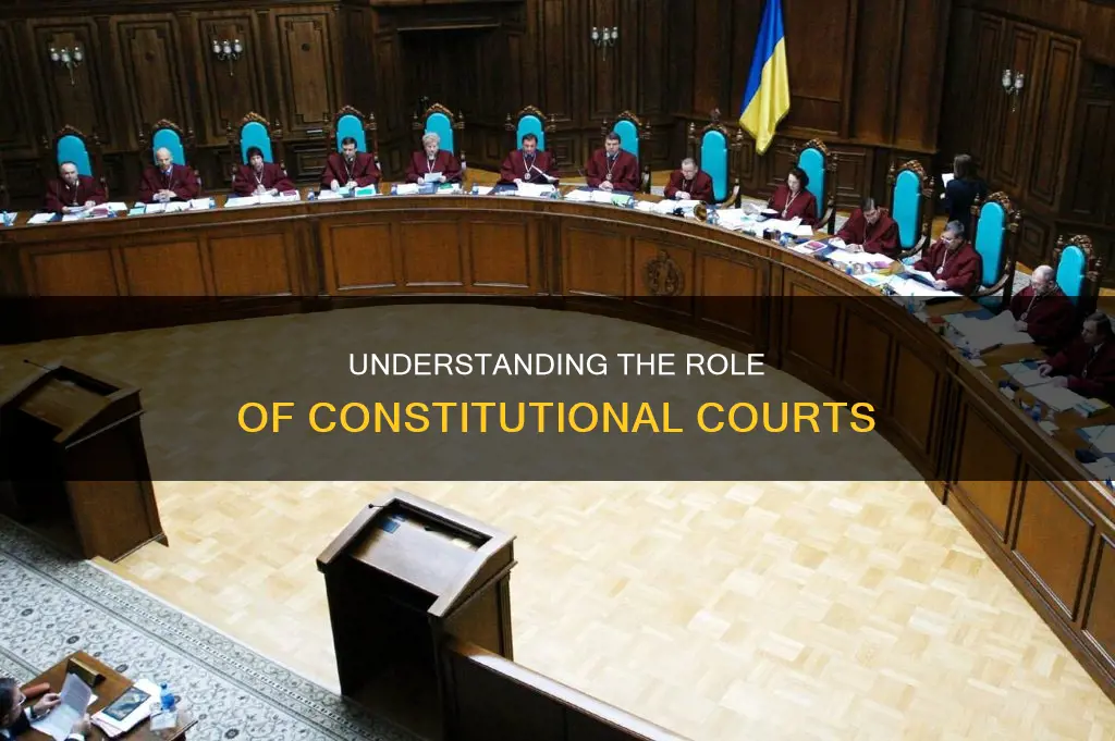 what is the work of a constitutional court