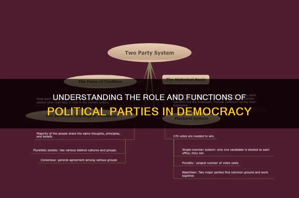 what is the work of a political party