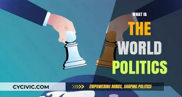 Understanding Global Power Dynamics: What is World Politics?