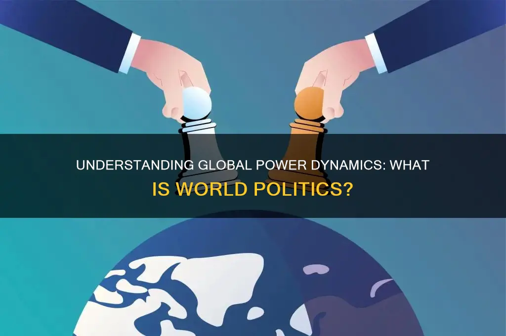 what is the world politics