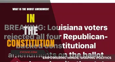 The Most Damaging Amendment in the Constitution