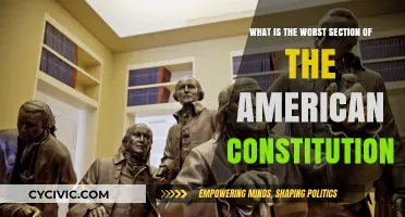 The American Constitution's Most Flawed Section