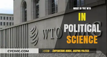 Understanding the World Trade Organization: A Political Science Perspective