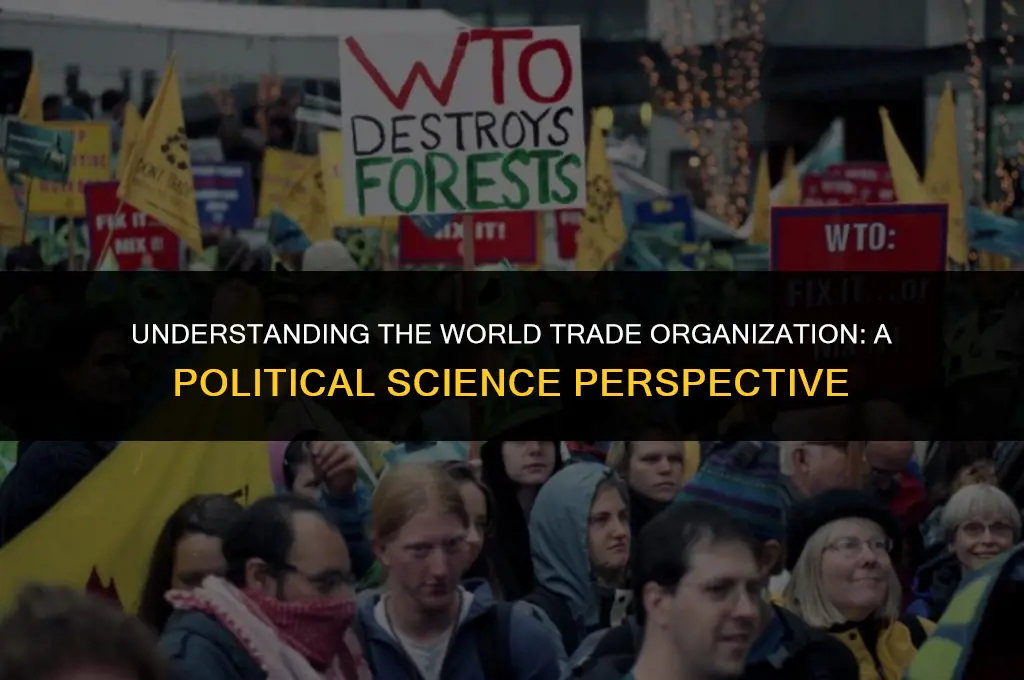 what is the wto in political science