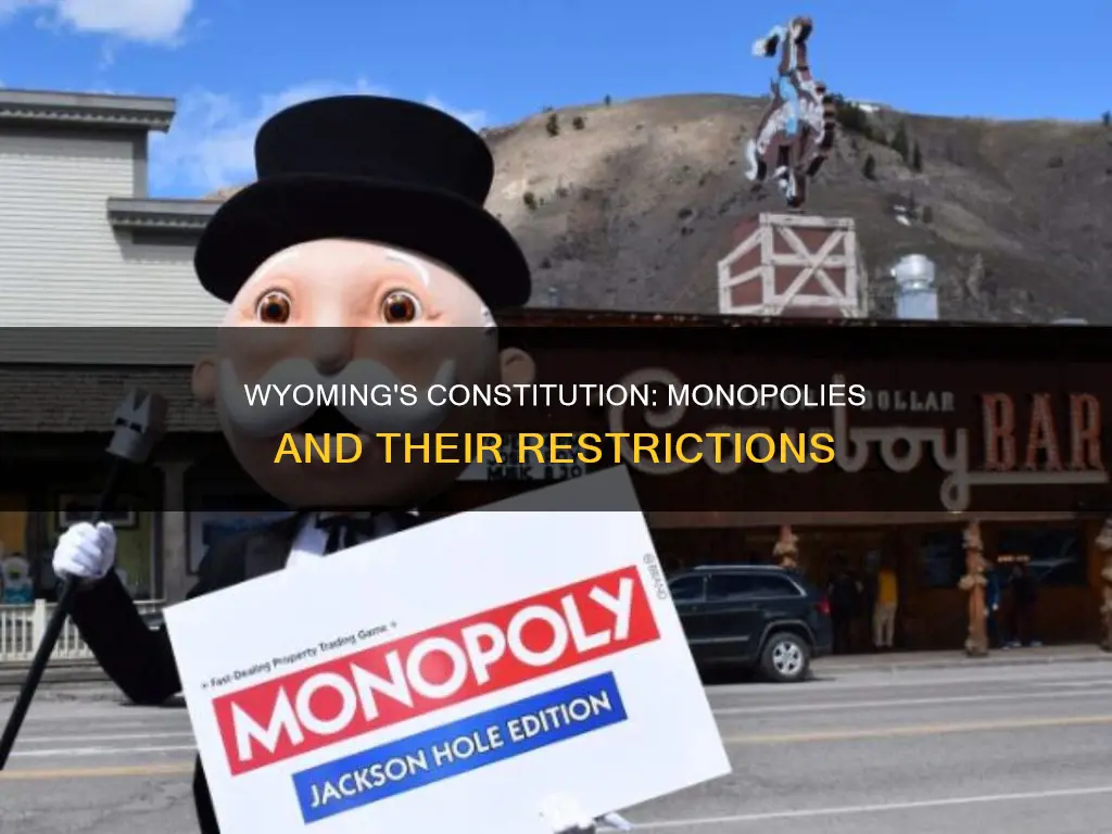 what is the wyoming constitutional provision regarding monopolies