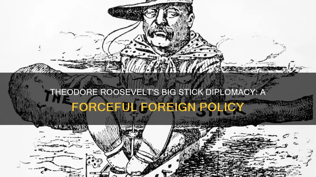 what is theodore roosevet