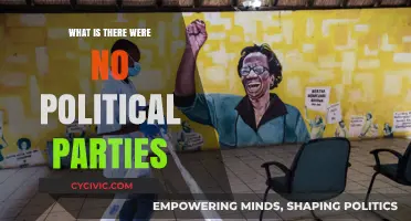 A World Without Parties: Redefining Politics and Governance