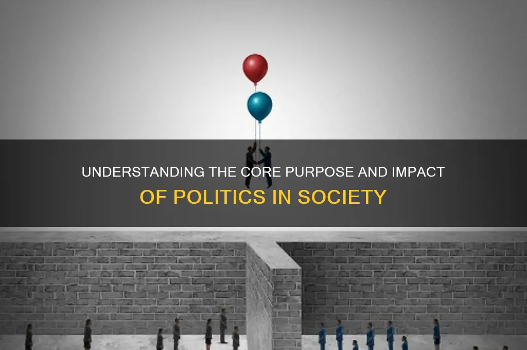 what is thevpoijt of politics