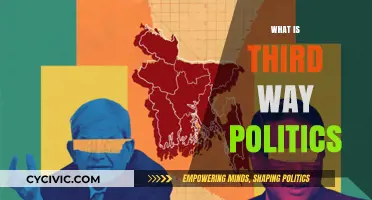 Understanding Third Way Politics: A Middle Ground in Modern Governance