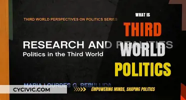 Understanding Third World Politics: Dynamics, Challenges, and Global Implications