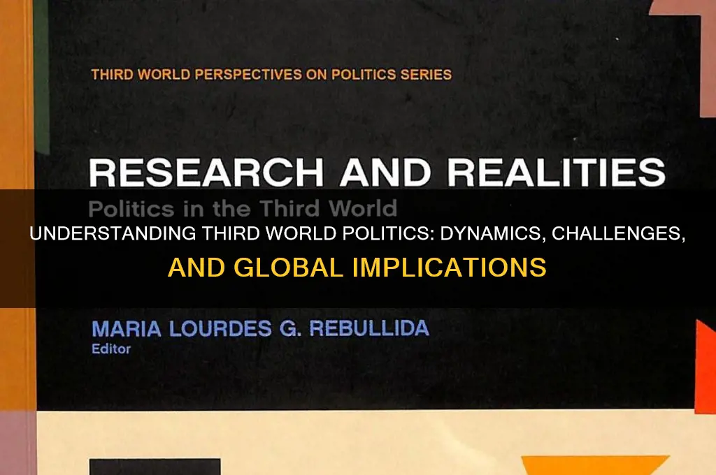 what is third world politics