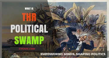 Unveiling the Political Swamp: Corruption, Power, and Systemic Decay Explained