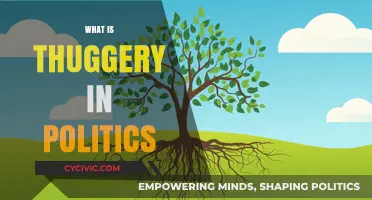 Thuggery in Politics: Understanding Its Impact and Consequences