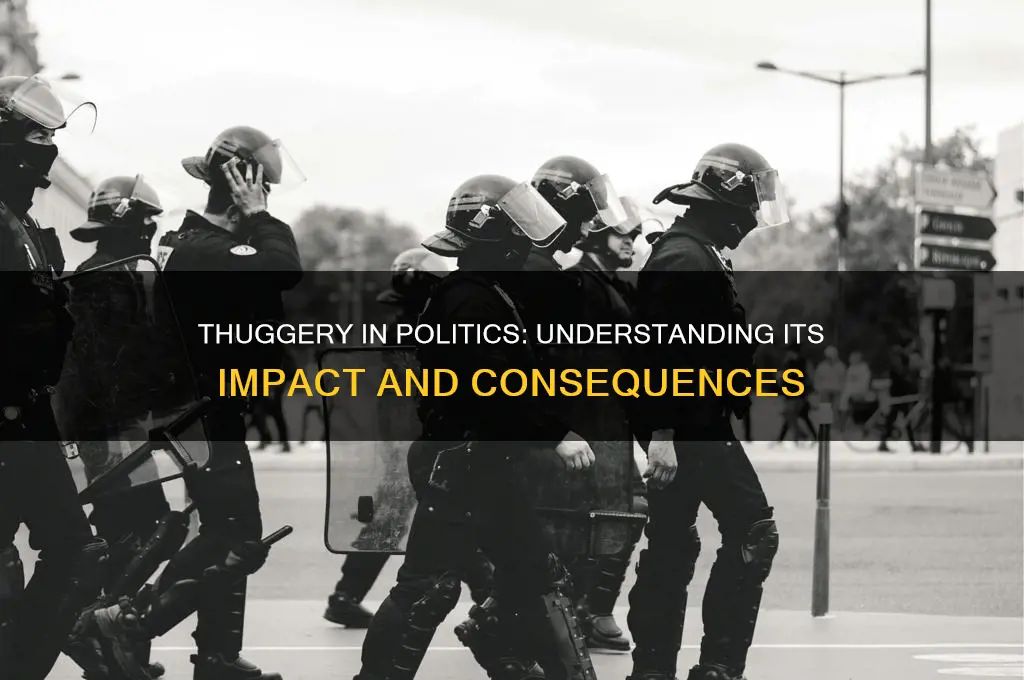 what is thuggery in politics