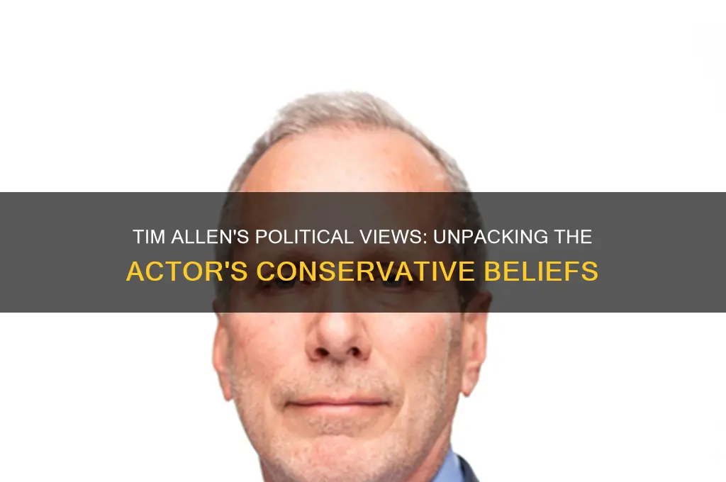 what is tim allen politics