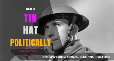 Understanding the Political Implications of the Tin Hat Movement